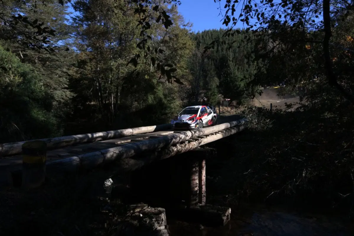 WRC 2019. Spagna Catalunya. Ott 'Otto' Tanak è Campione del Mondo! (27)
