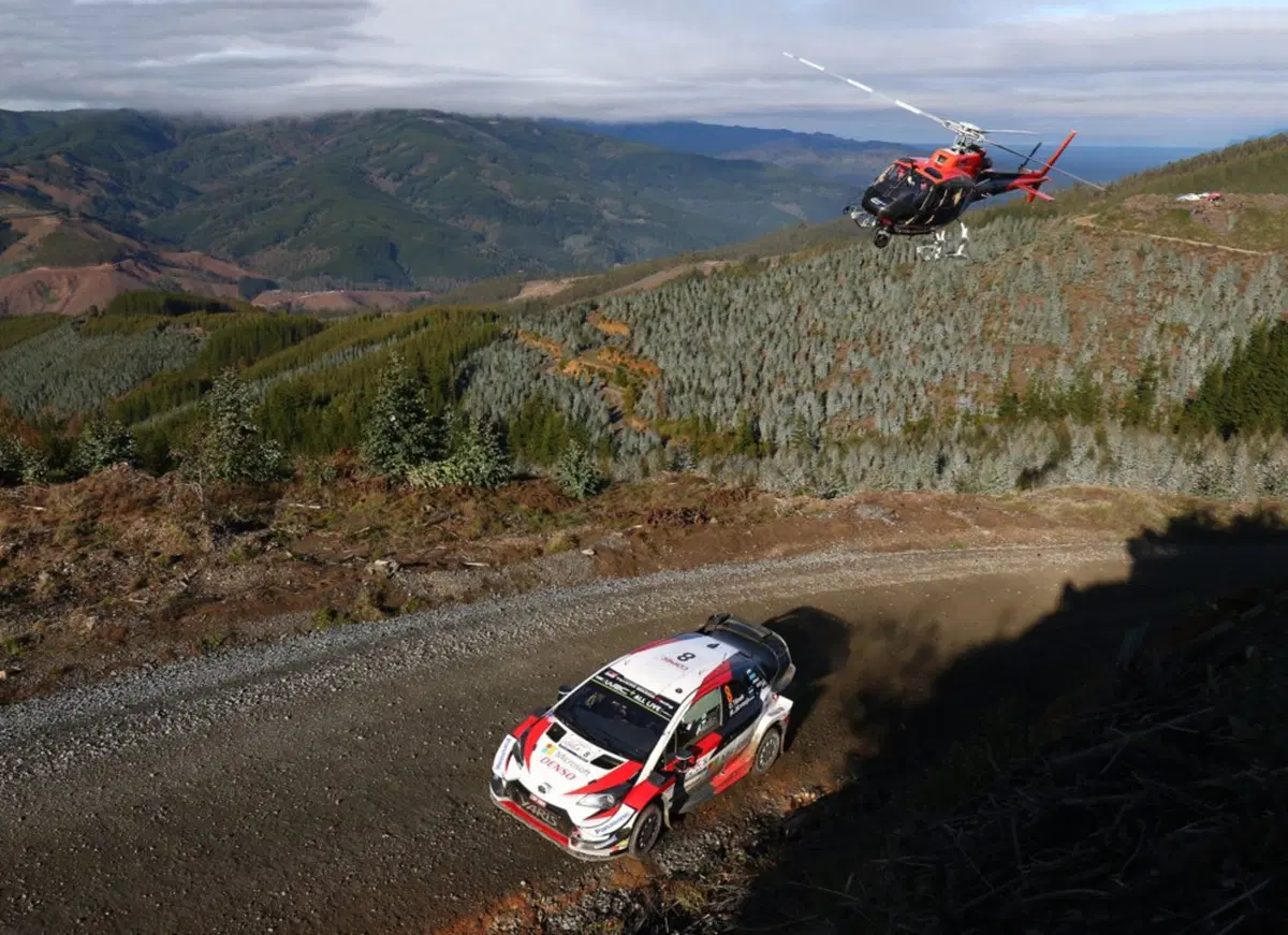 WRC 2019. Spagna Catalunya. Ott 'Otto' Tanak è Campione del Mondo! (29)