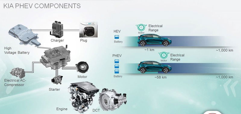 Quale ibrido, Confronto: motorizzazioni HEV e PHEV sulla stessa auto [schede tecniche]