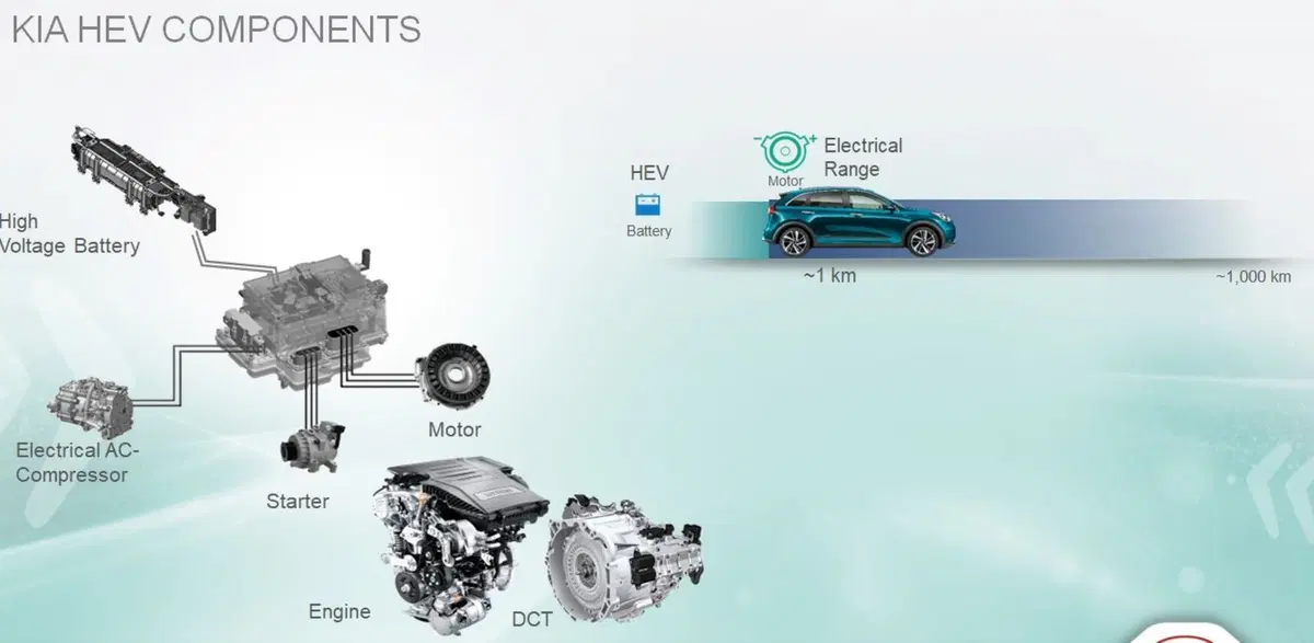 Quale ibrido, Confronto: motorizzazioni HEV e PHEV sulla stessa auto [schede tecniche] (4)