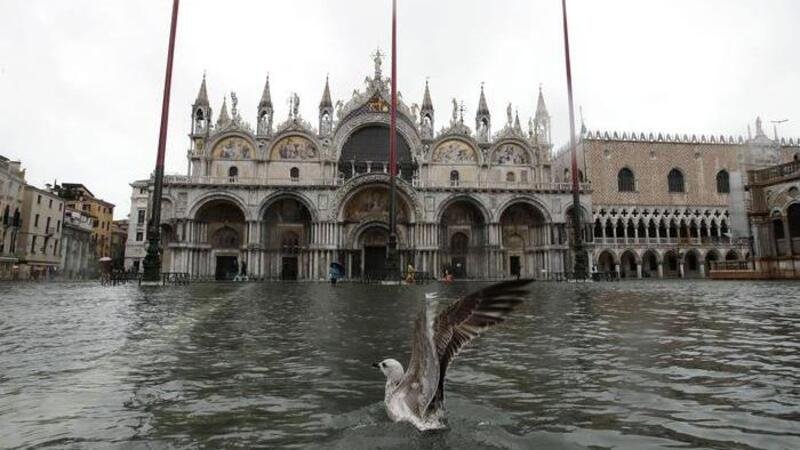 Venezia inondata, ma non solo: nel 2100 potrebbe sparire un&rsquo;area grande quanto la Liguria