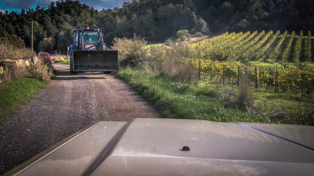 CIR 2019. Tuscan Rewind: “Hey, il Campione sono ancora io!” (5)