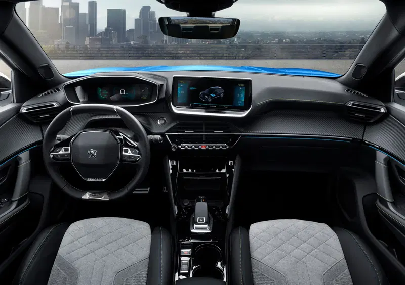 Peugeot 2008 (2019-->>) (31)