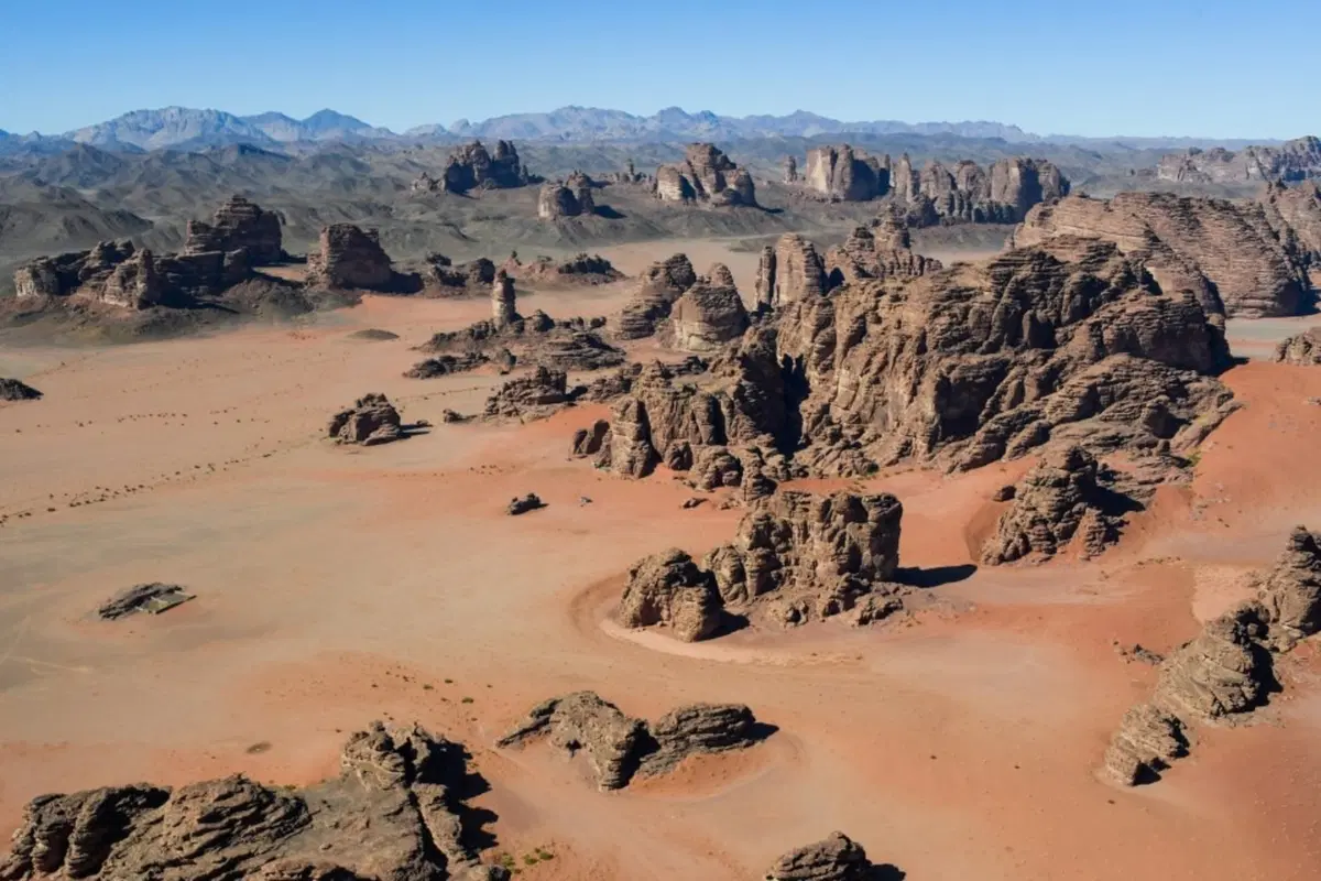 Il Bar della Dakar 2020. Dopo la terza Tappa. Alonso et al. (8)