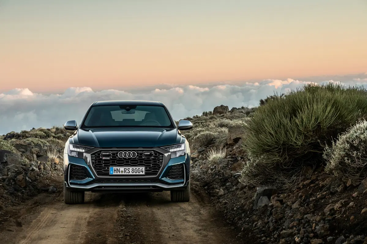 Audi RS Q8 Q8 4.0 mhev quattro tiptronic (23)