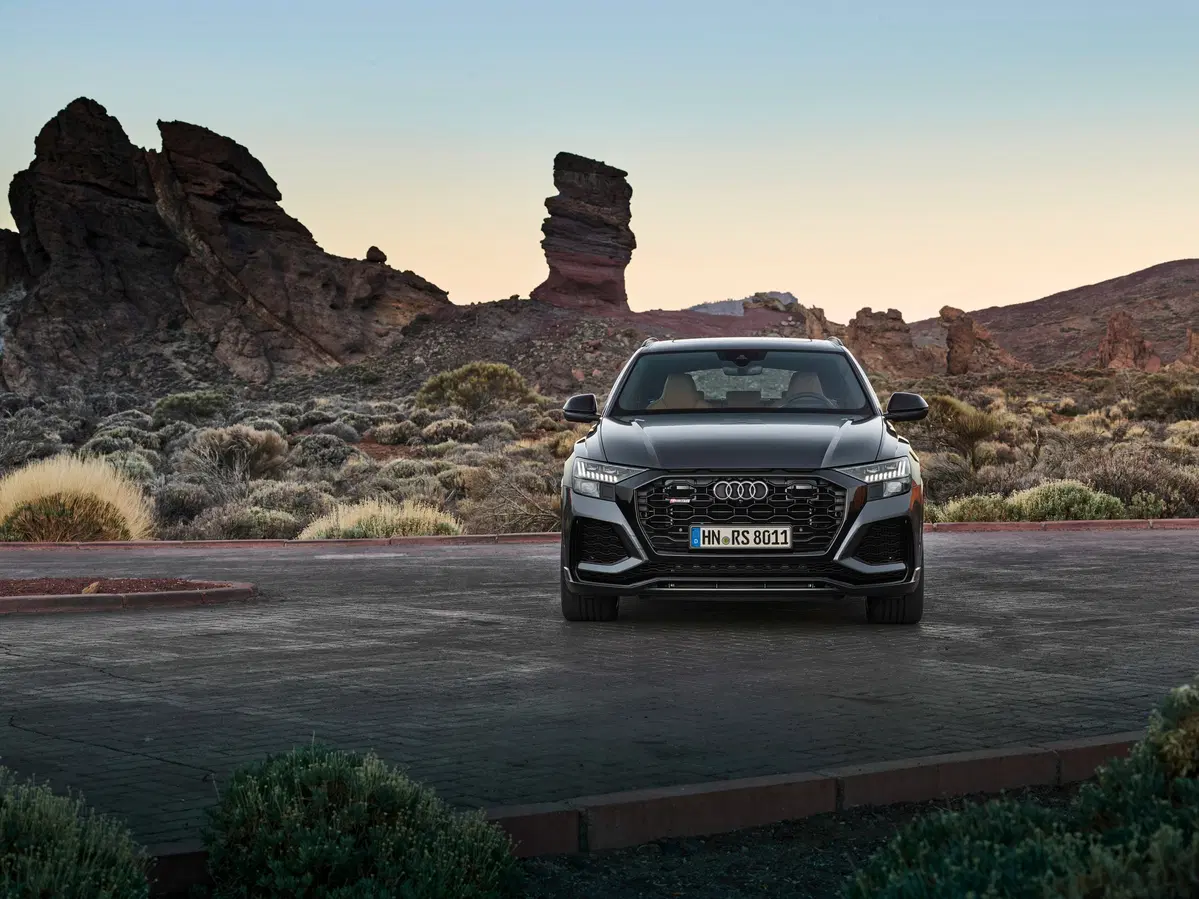 Audi RS Q8 Q8 4.0 mhev quattro tiptronic (19)