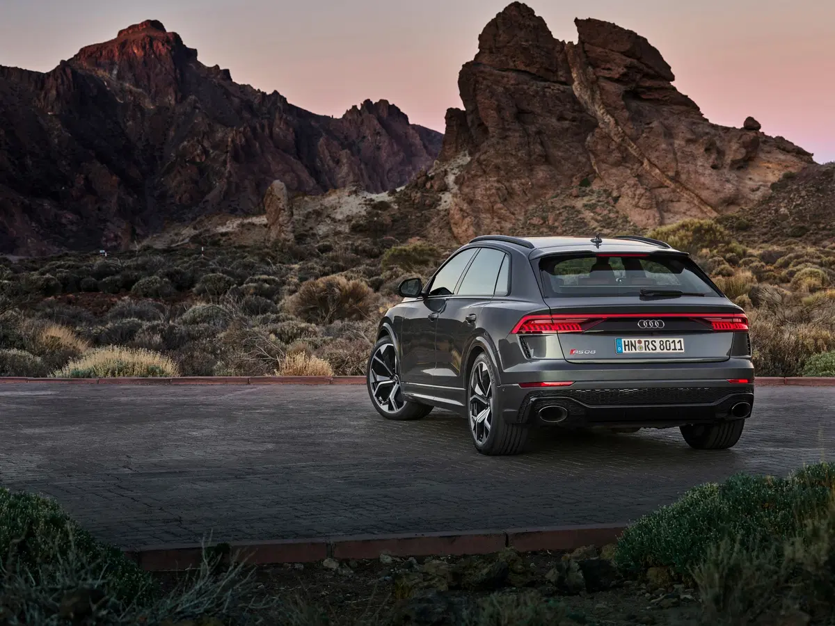 Audi RS Q8 Q8 4.0 mhev quattro tiptronic (27)