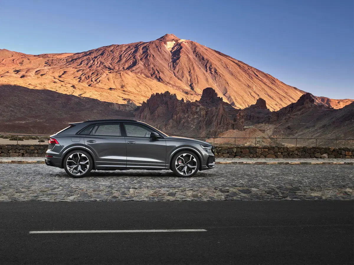 Audi RS Q8 Q8 4.0 mhev quattro tiptronic (18)