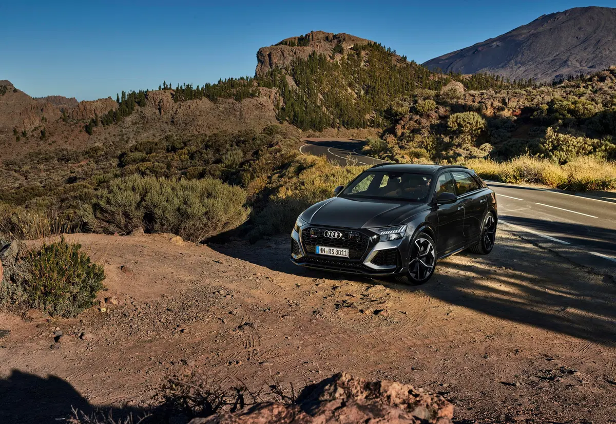 Audi RS Q8 Q8 4.0 mhev quattro tiptronic (21)