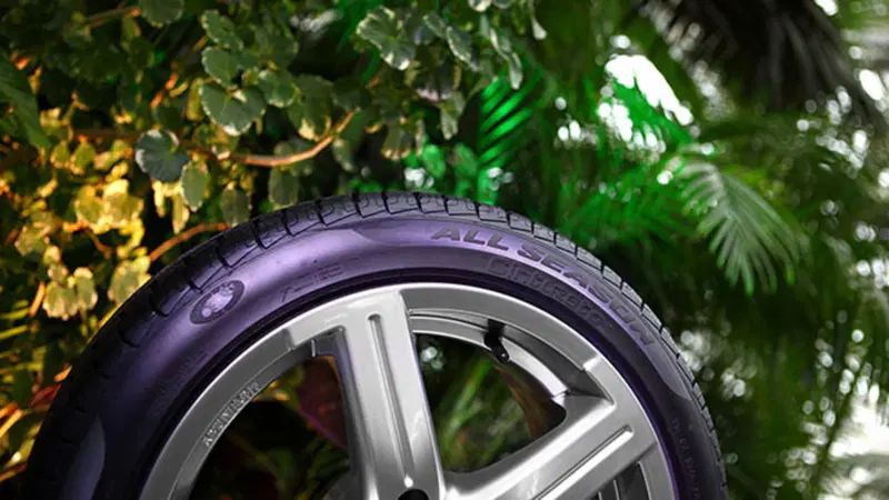 Pneumatici 4 stagioni (M+S): normativa e prezzi delle gomme All season