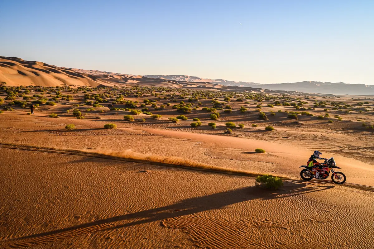 Dakar 2020. D-11 Flash. Fine Marathon. -1: Quintanilla e Peterhansel (12)