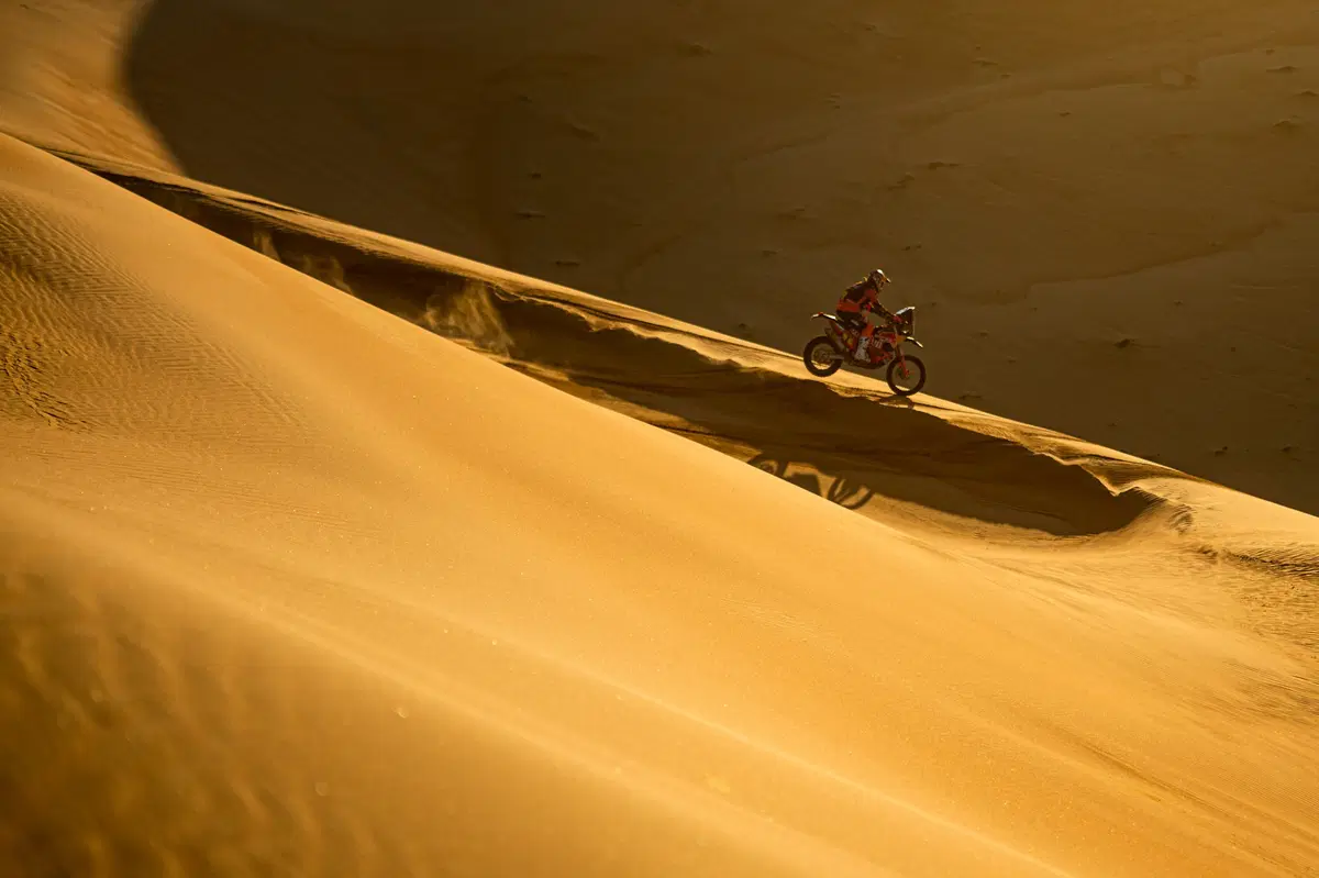 Dakar 2020. D-11 Flash. Fine Marathon. -1: Quintanilla e Peterhansel (14)