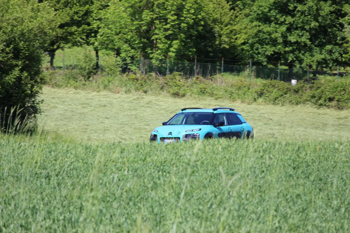 Citroen C4 Cactus | test drive #AMboxing (5)