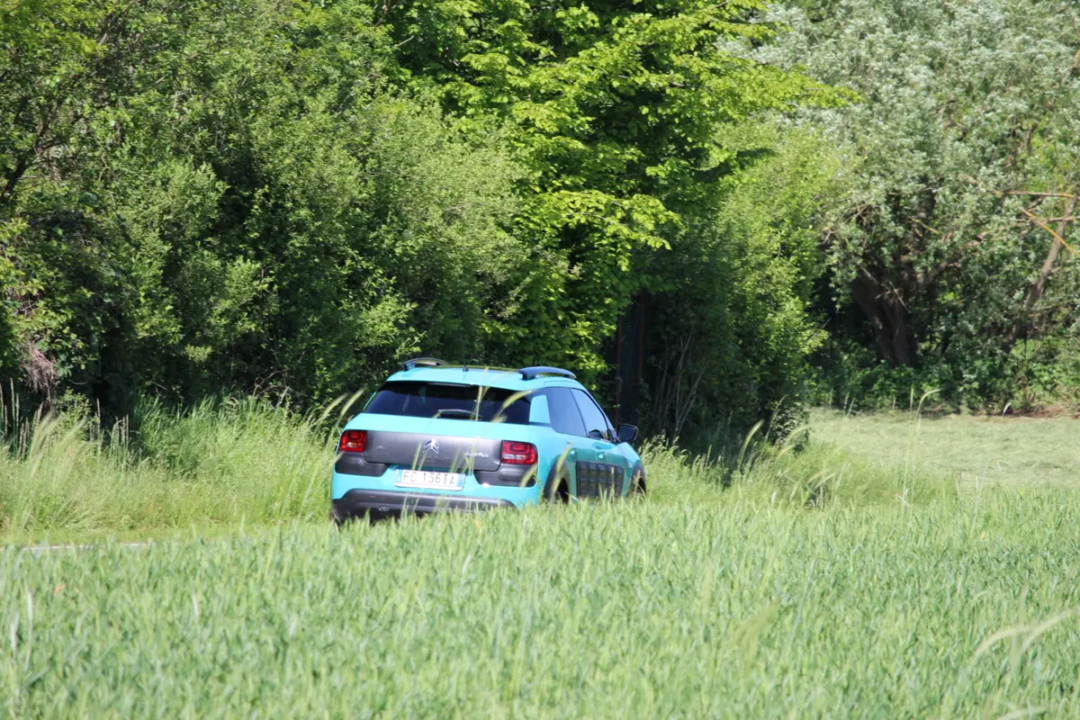 Citroen C4 Cactus | test drive #AMboxing (2)