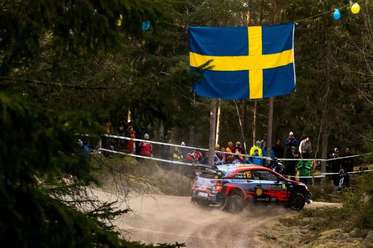 WRC 2020. Svezia D-2. È Elfyn Evans, Toyota (8)