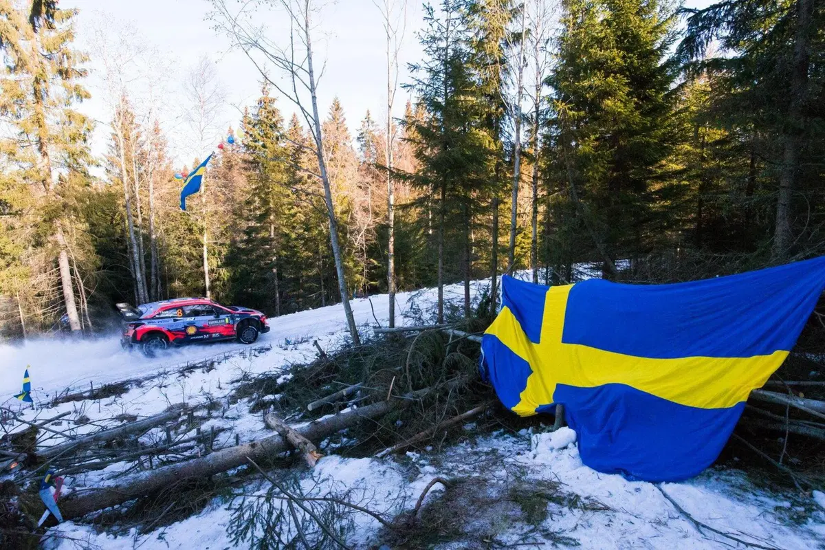 WRC 2020. Svezia D-2. È Elfyn Evans, Toyota (13)