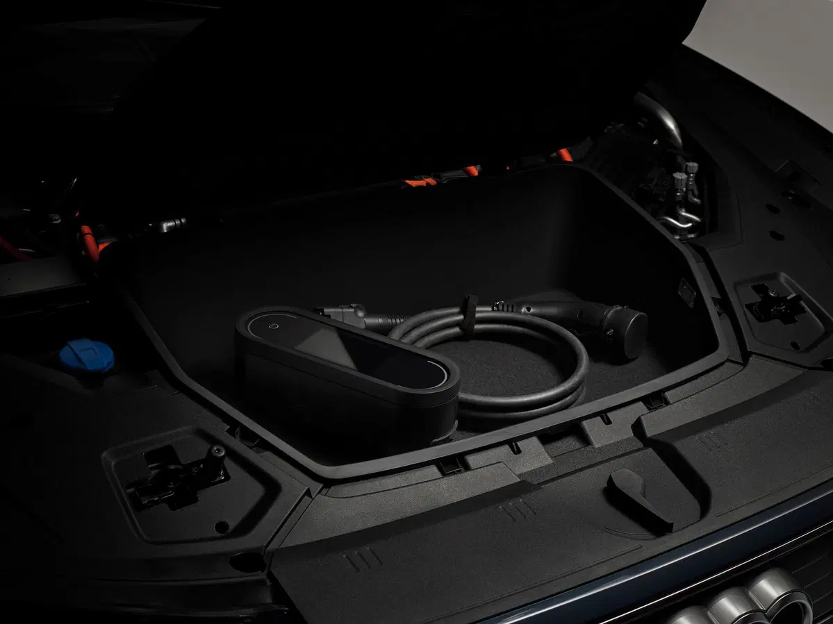 Audi e-tron Sportback (2019-22) (19)