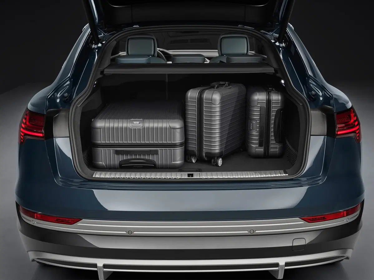 Audi e-tron Sportback (2019-22) (15)