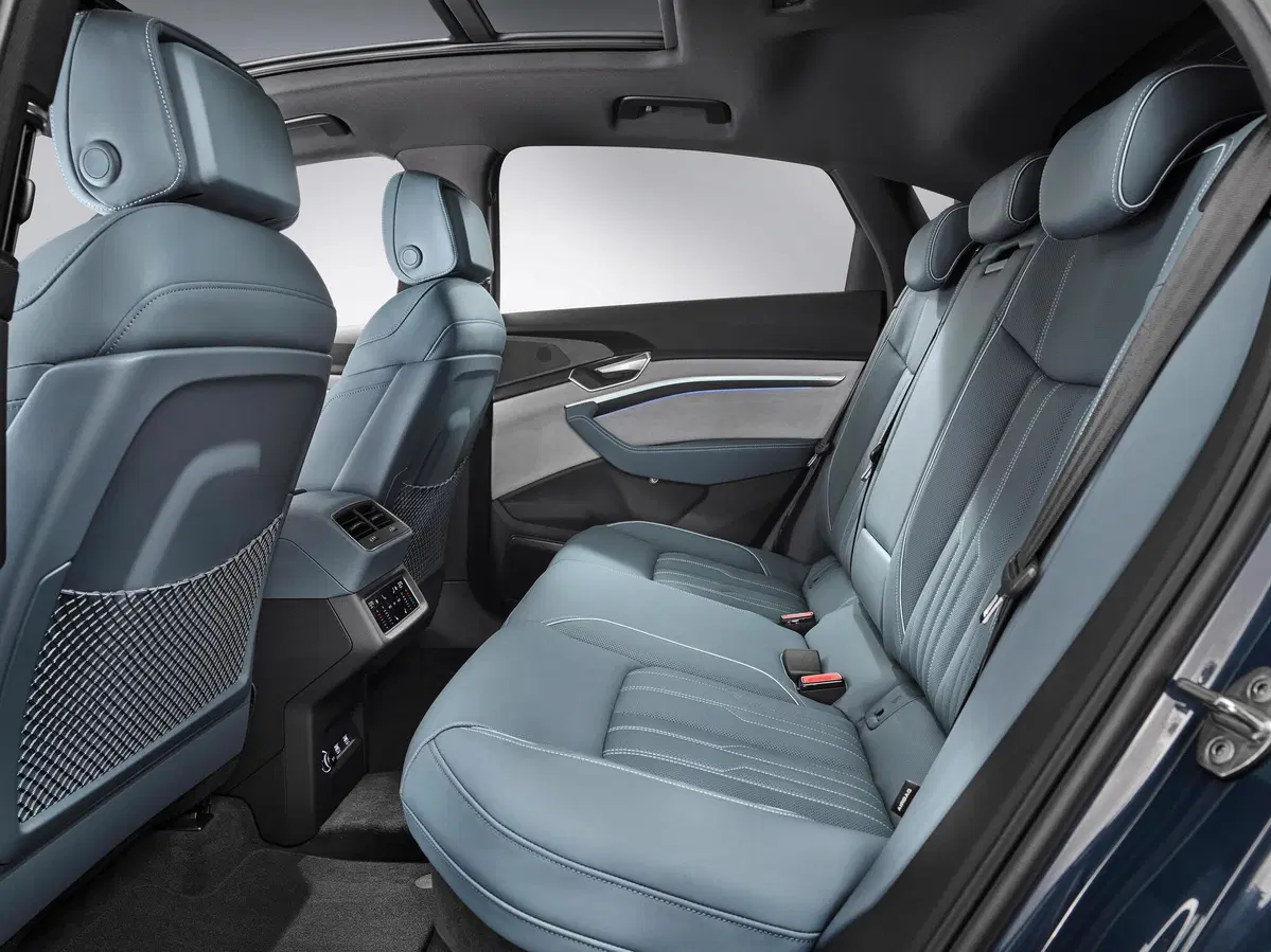 Audi e-tron Sportback (2019-22) (13)
