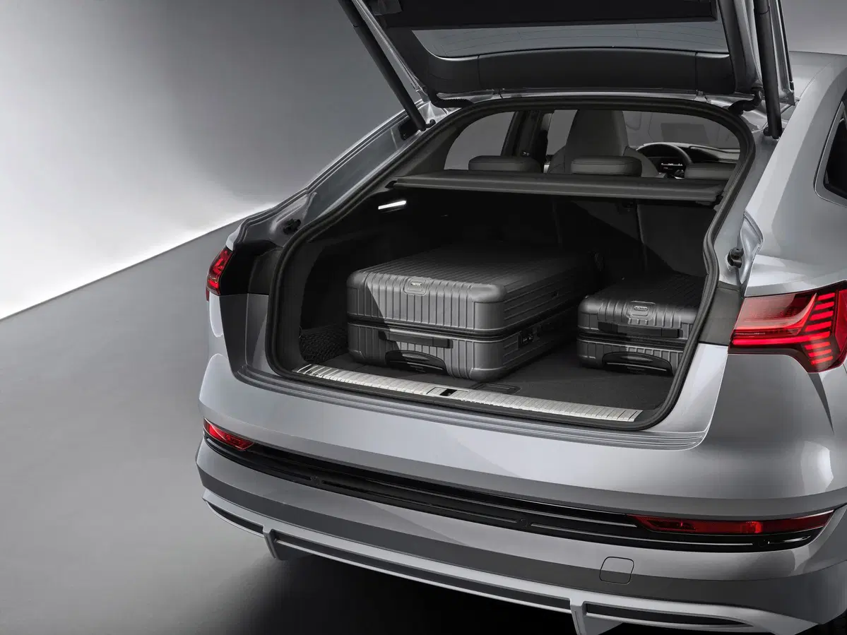 Audi e-tron Sportback (2019-22) (20)
