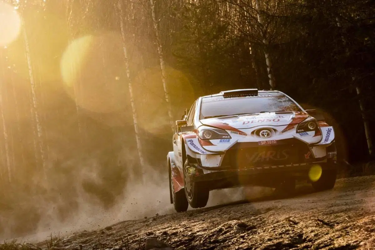 WRC 2020. Rally Mexico. Un’incognita al tritolo (5)