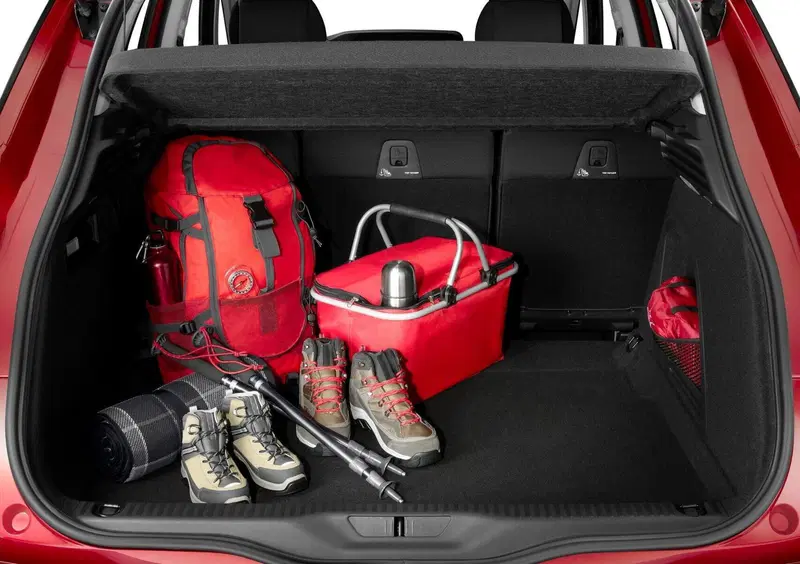 Citroen C4 Picasso (2013-18) (13)