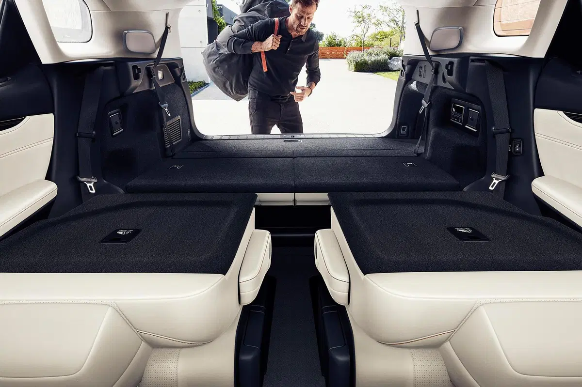 Lexus RX Hybrid Luxury (40)