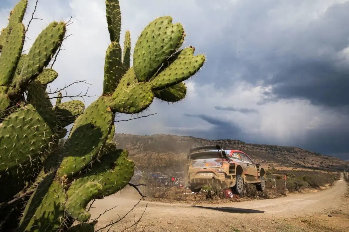 Video in-diretta… Parliamo di WRC (4)