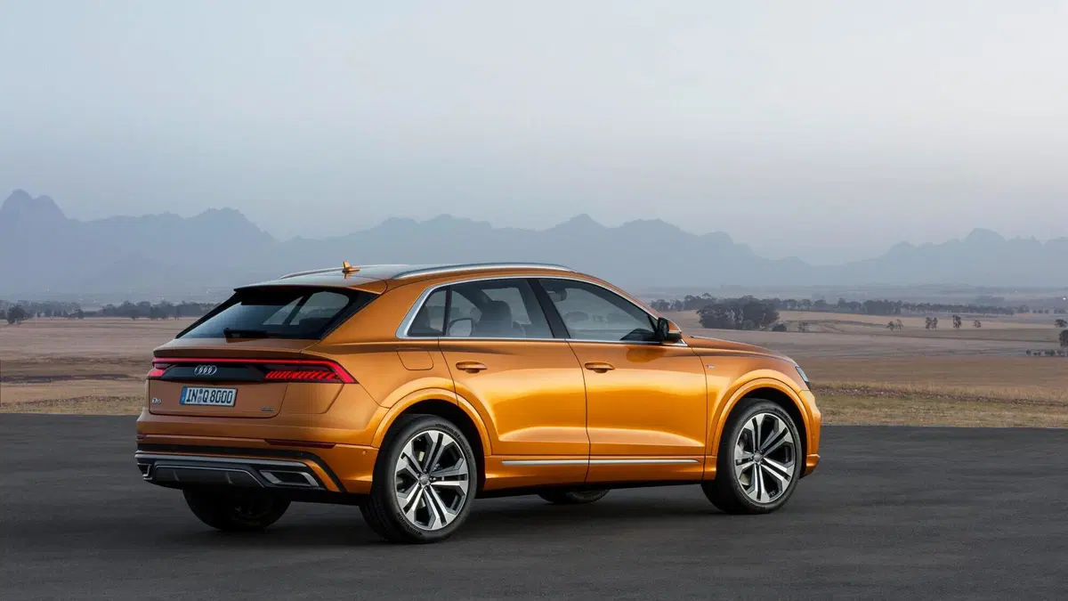 Audi Q8 3.0 tdi mhev S line edition quattro 231cv tiptronic (7)