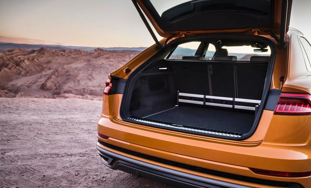 Audi Q8 3.0 tdi mhev S line edition quattro 231cv tiptronic (24)
