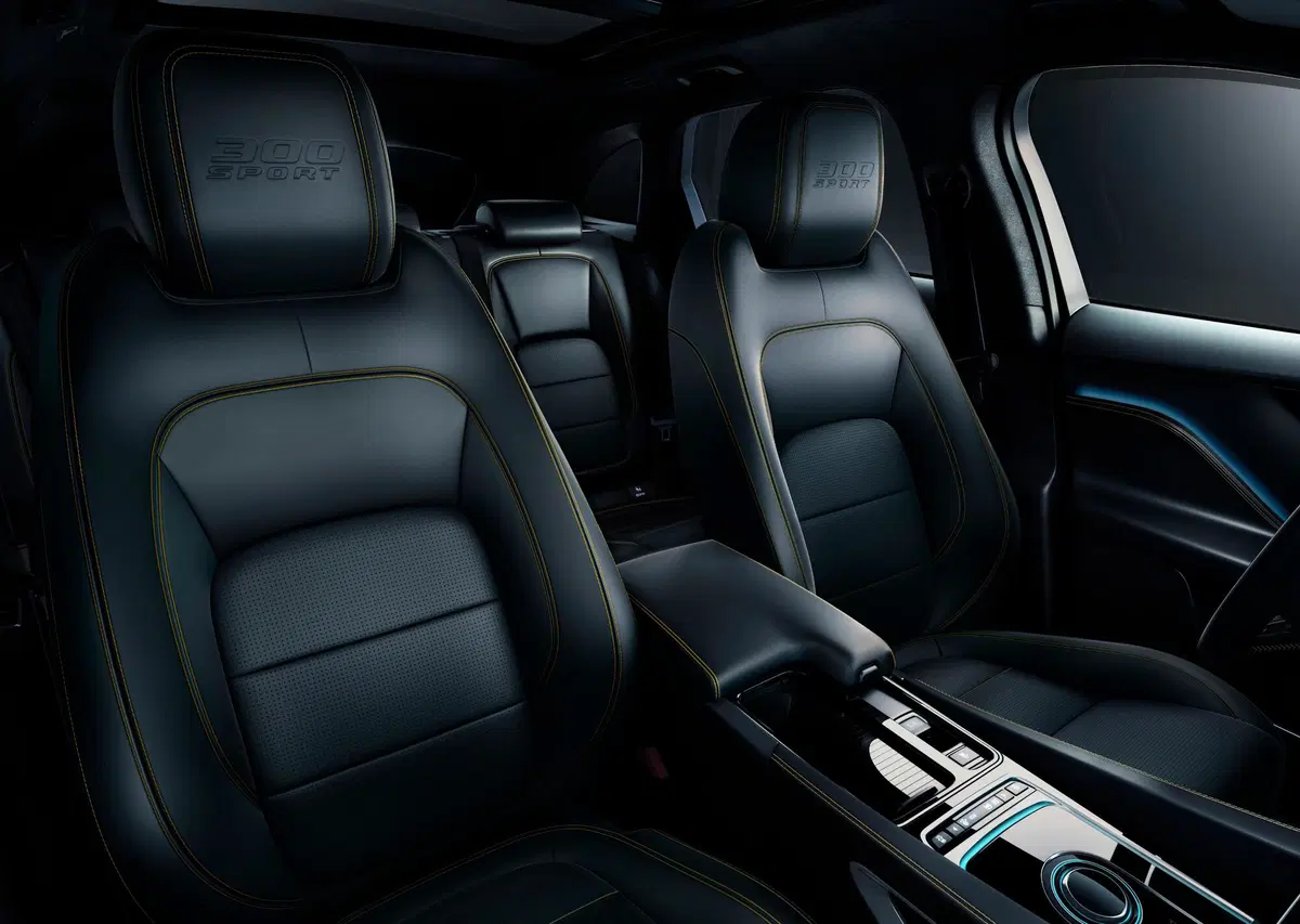 Jaguar F-Pace 3.0d i6 mhev R-Dynamic SE 90th Anniversary Edition awd 300cv auto (48)