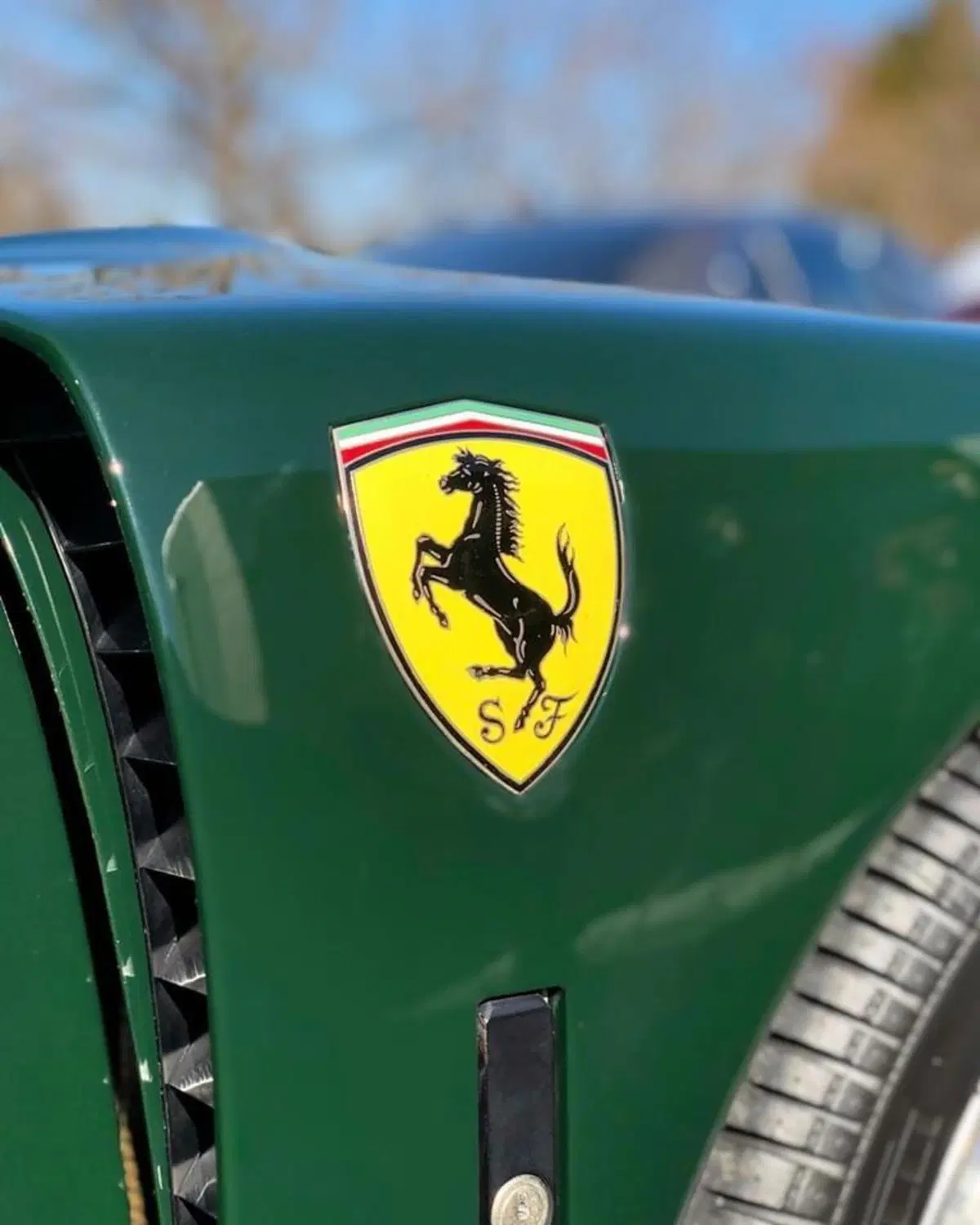 Non è eco, non è green e nemmeno british, ma che bel verde di un'auto: Ferrari F40 special [Foto gallery] (7)