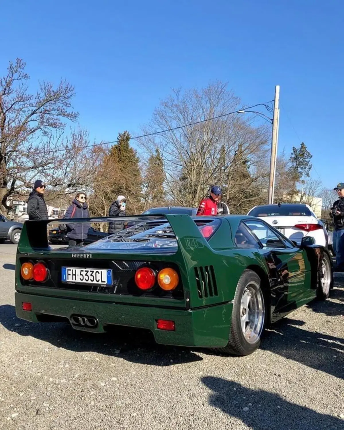 Non è eco, non è green e nemmeno british, ma che bel verde di un'auto: Ferrari F40 special [Foto gallery] (10)