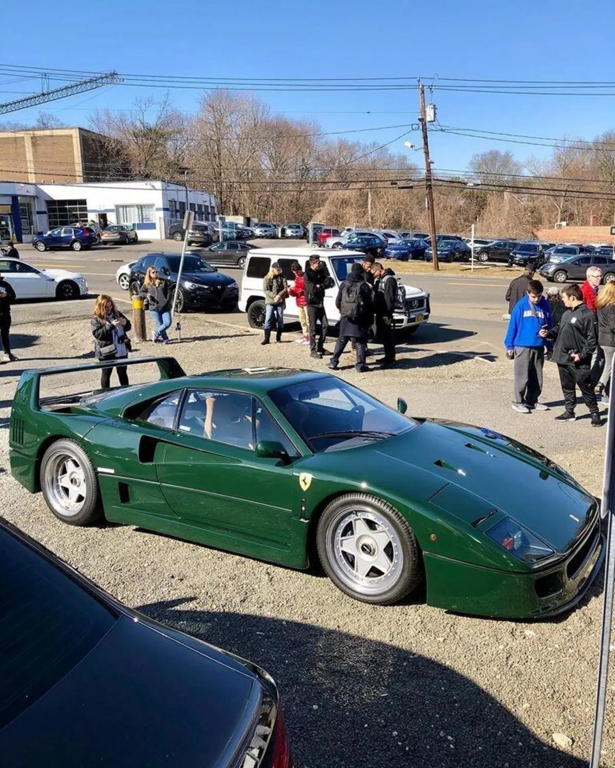 Non è eco, non è green e nemmeno british, ma che bel verde di un'auto: Ferrari F40 special [Foto gallery] (11)