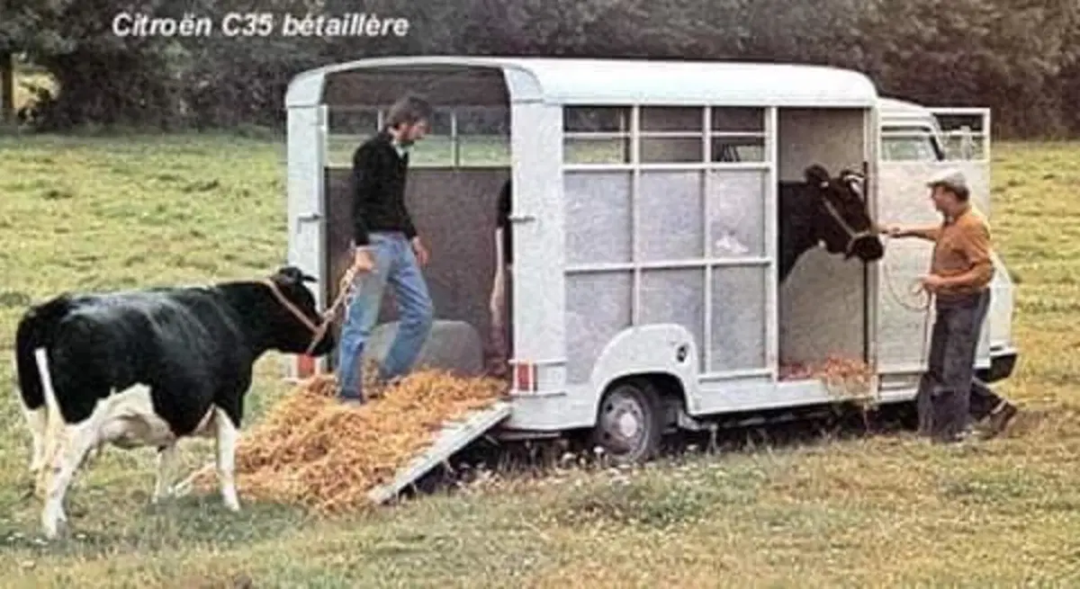 Tutte le facce del C35, Citroën e del 242, Fiat [Foto gallery allestimenti speciali] (17)