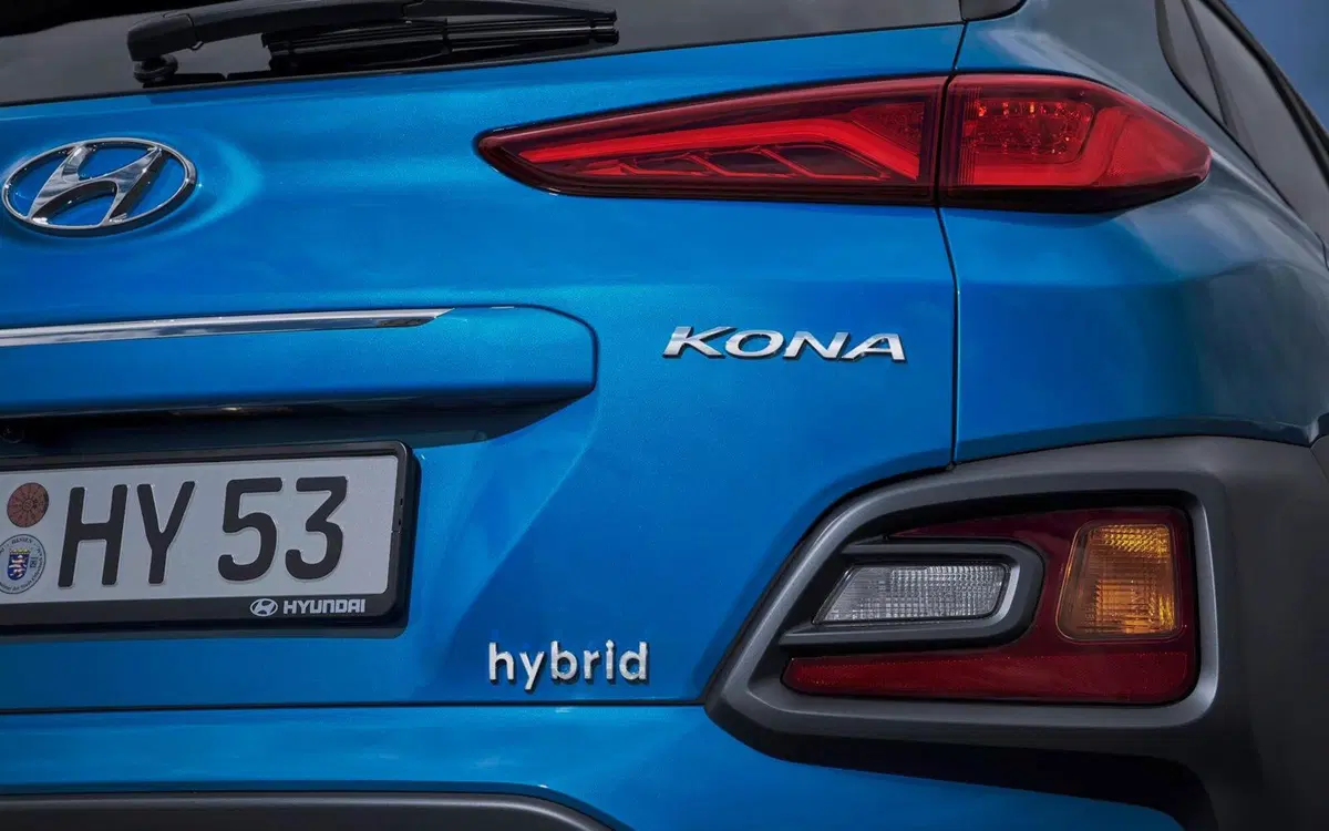 Hyundai Kona 1.6 CRDI 115 CV Exellence (21)