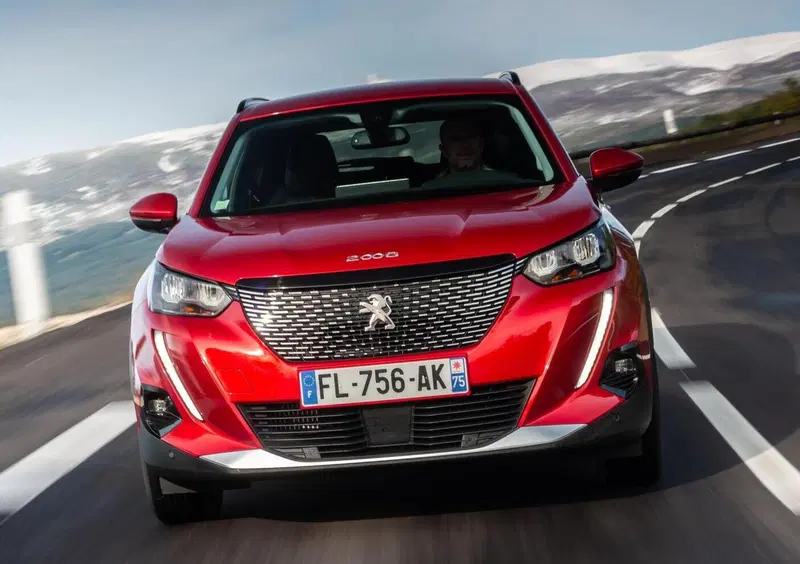 Peugeot 2008 (2019-->>) (16)