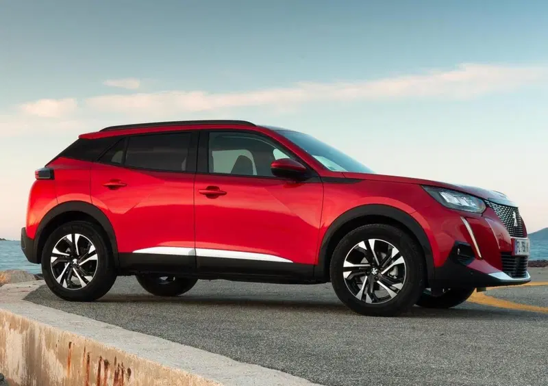 Peugeot 2008 (2019-->>) (15)