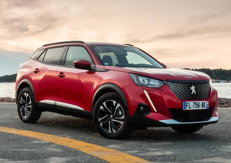 Peugeot 2008 (2019-->>) (14)