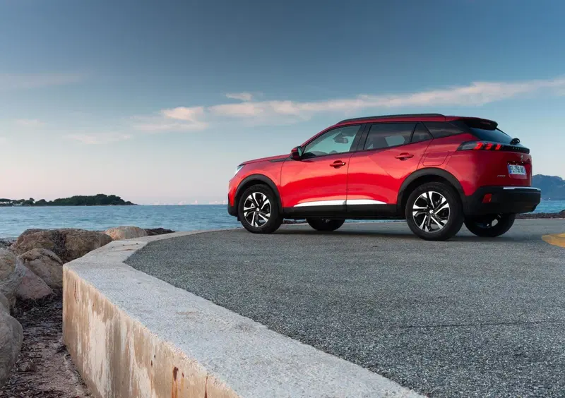 Peugeot 2008 (2019-->>) (22)