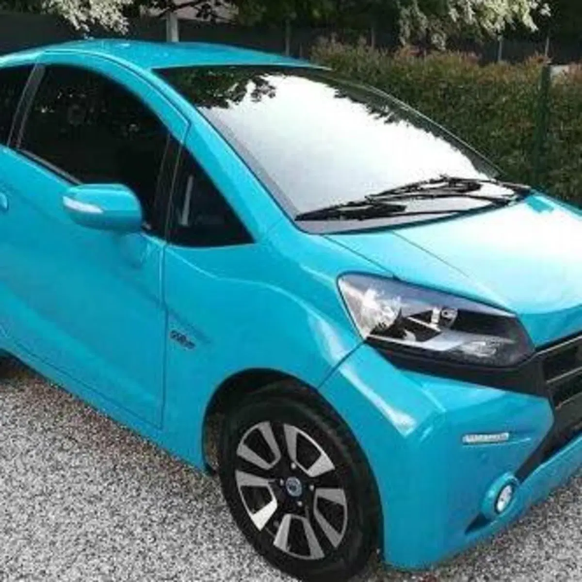 Casalini M14 (2014-18)