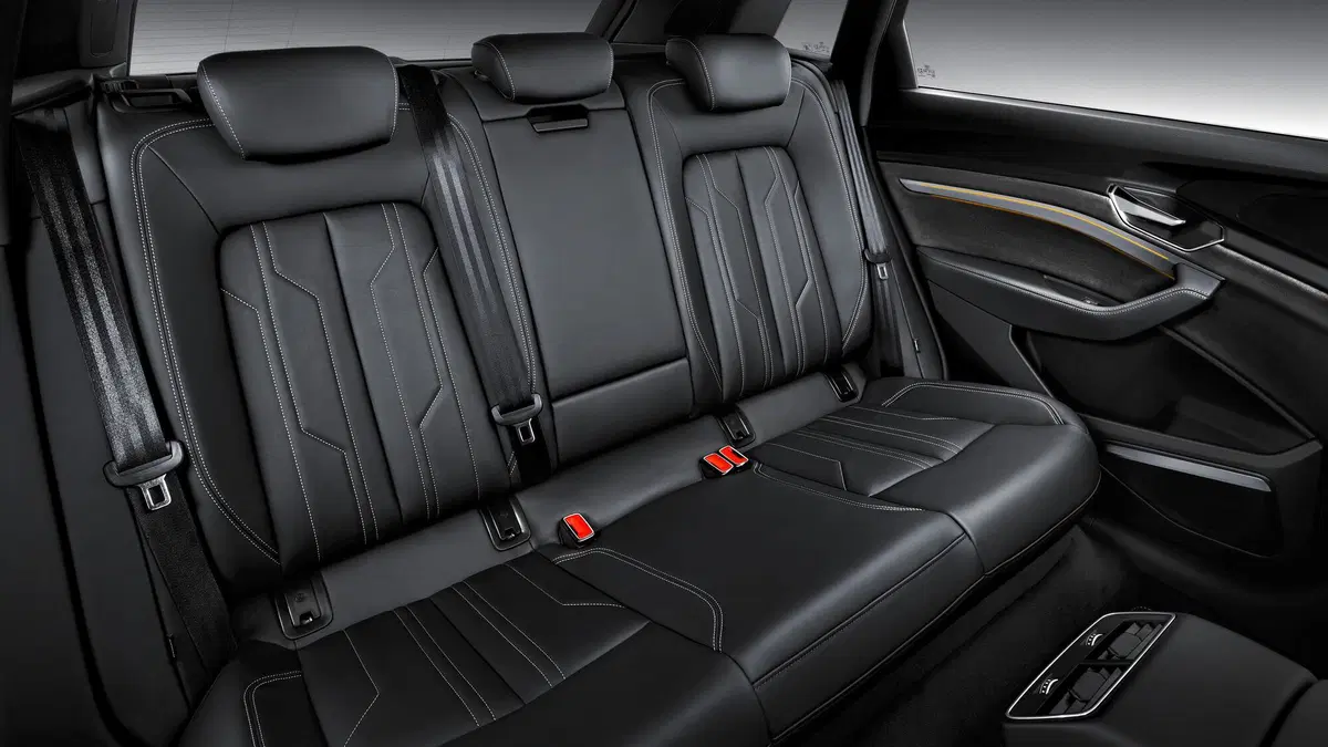 Audi e-tron (2019-22) (13)