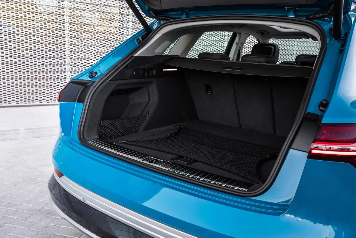 Audi e-tron (2019-22) (14)