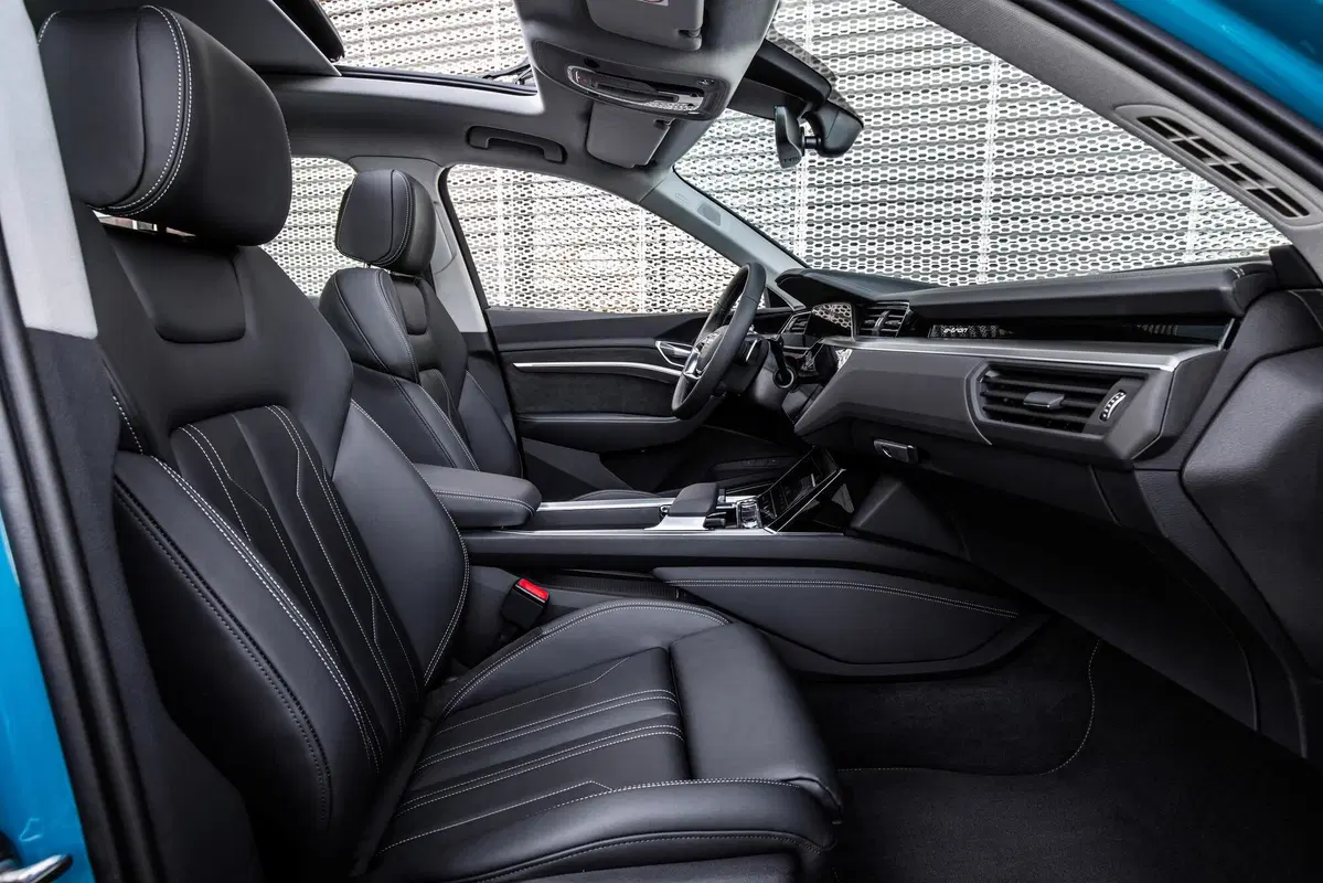 Audi e-tron (2019-22) (12)