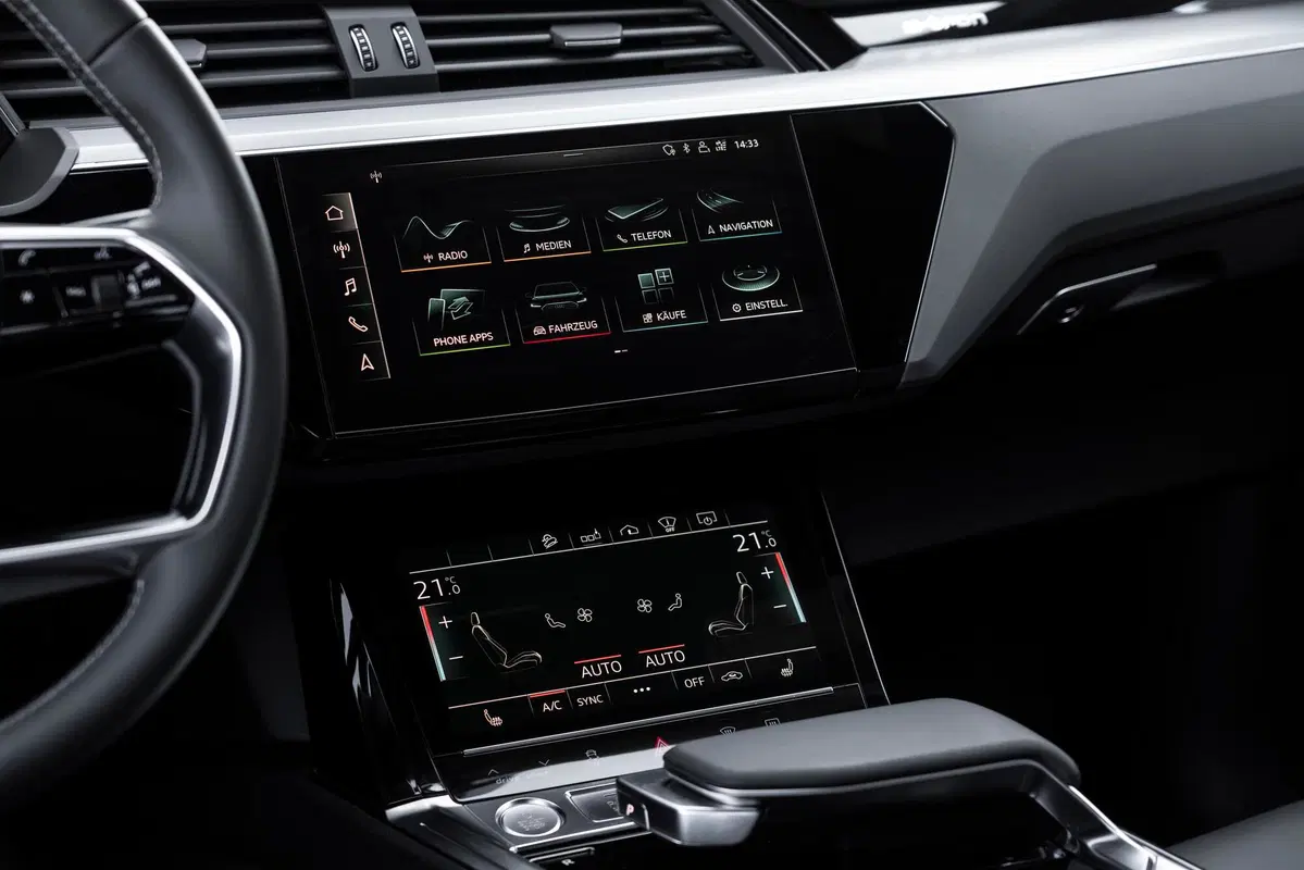 Audi e-tron Sportback (2019-22) (18)