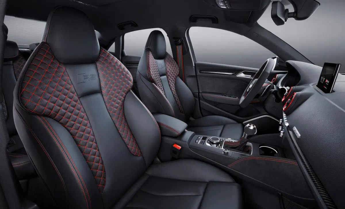 Audi RS 3 (2017-20) (12)