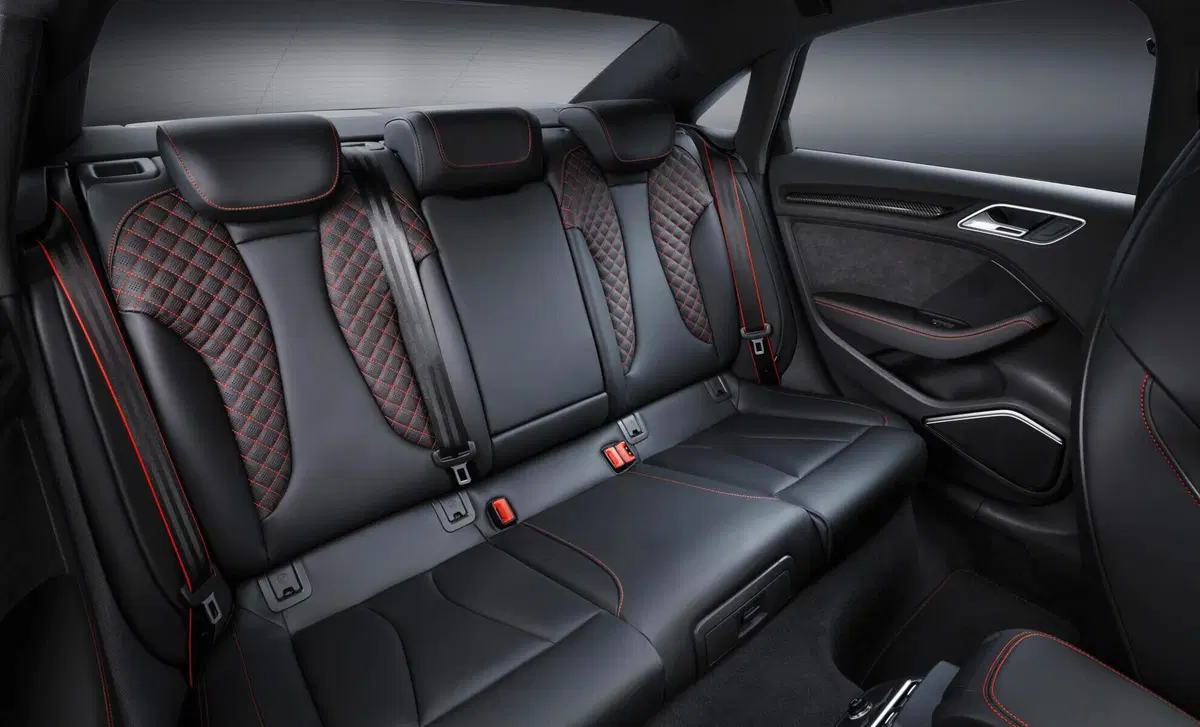 Audi RS 3 (2017-20) (13)