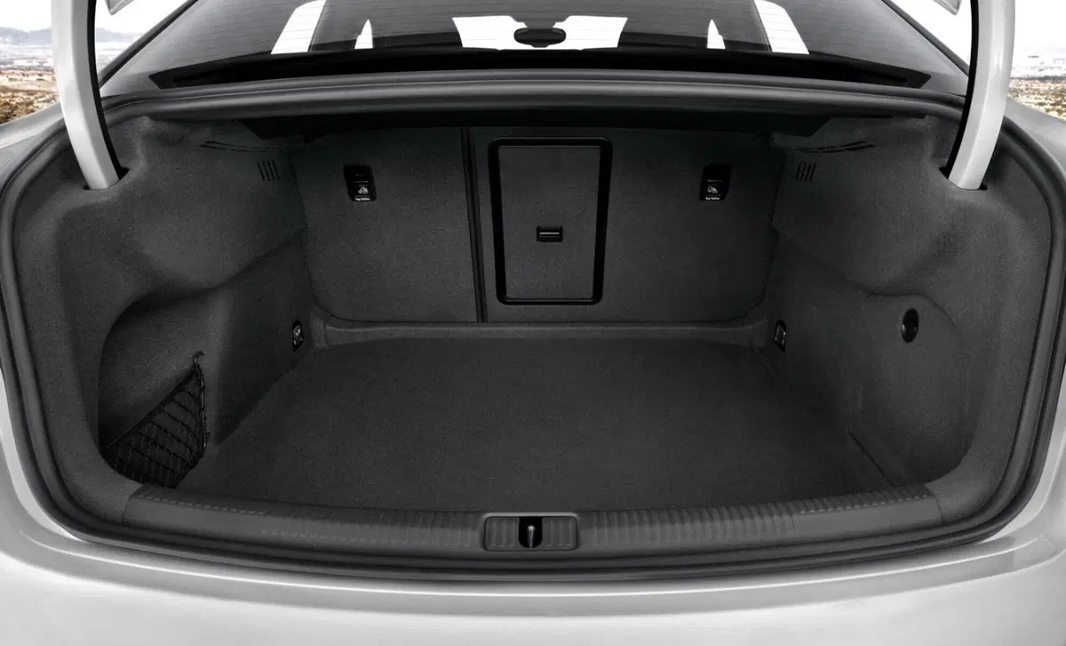 Audi RS 3 (2017-20) (14)