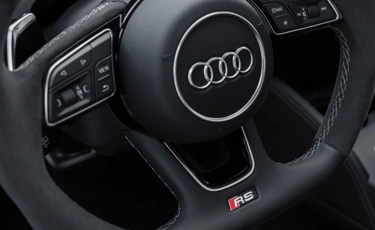 Audi RS 3 (2017-20) (17)