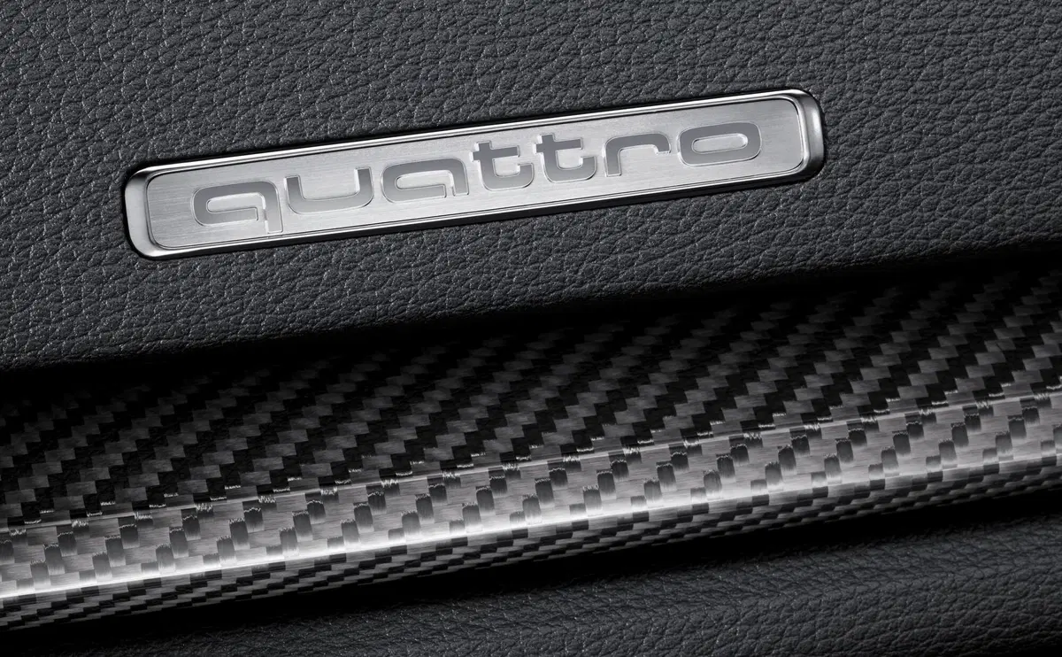 Audi RS 3 (2017-20) (19)